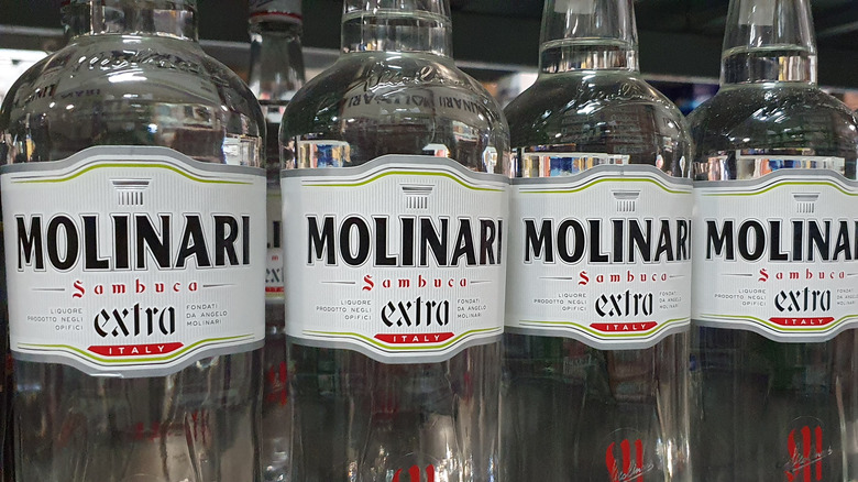 Bottles of molinari sambuca lined up