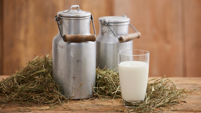 Two milk cans and glass of milk