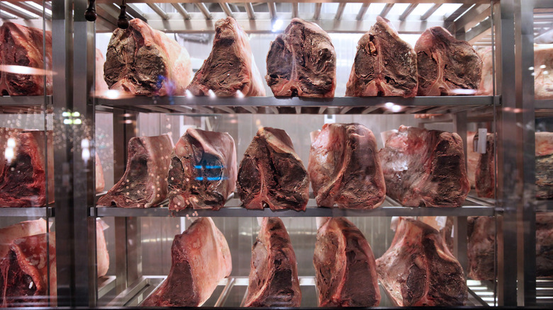 dry aging chamber with meats