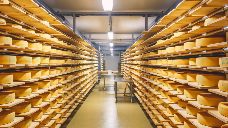 wheels of cheese on shelves
