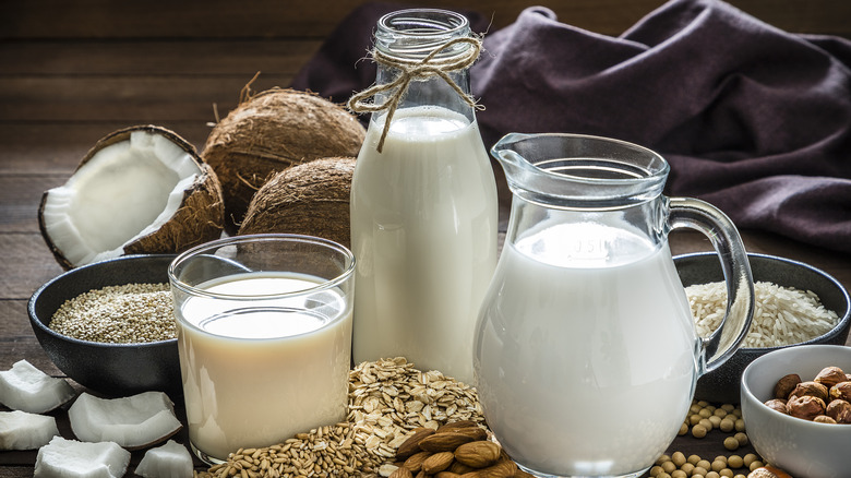 A variety of different vegan milks