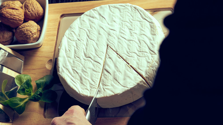 Hand cutting brie cheese wheel