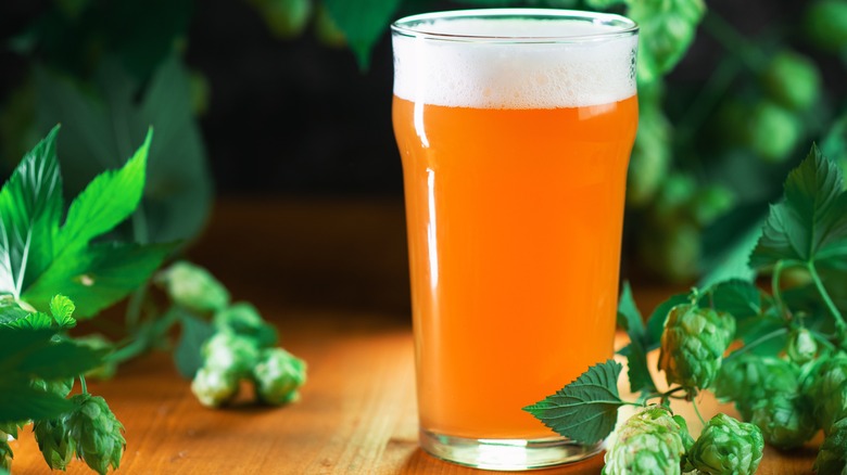 Hazy IPA surrounded by hop vines