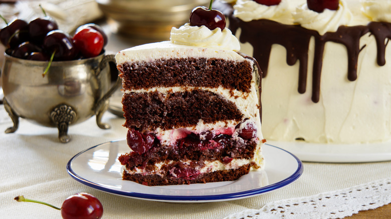 Slice of black forest cake