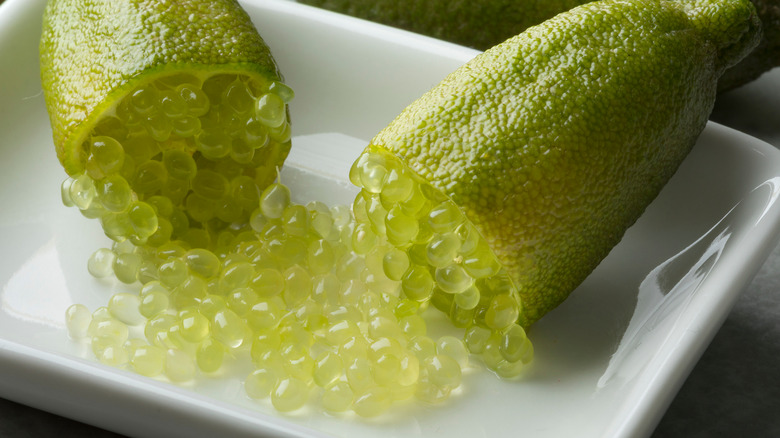 sliced finger lime on plate 