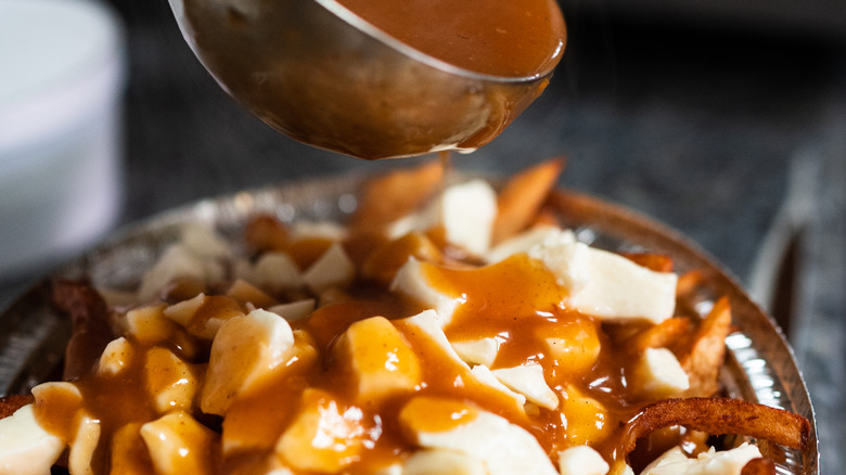 Canadian poutine fries