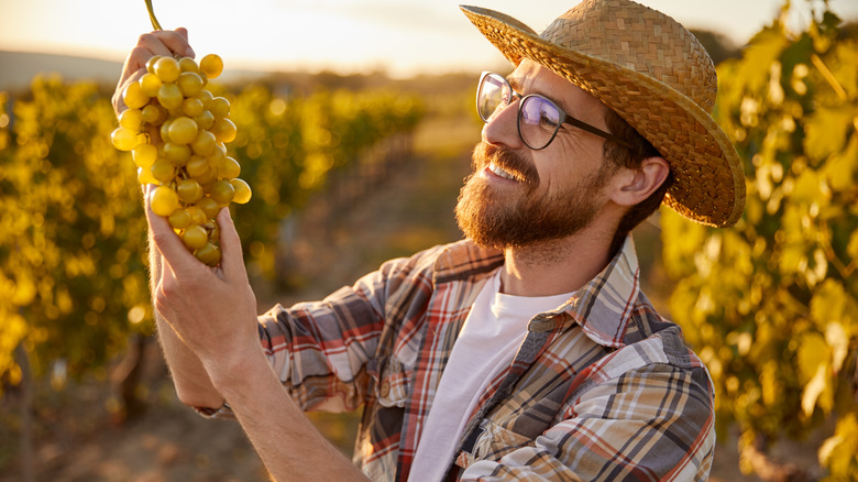 happy man holding grapes