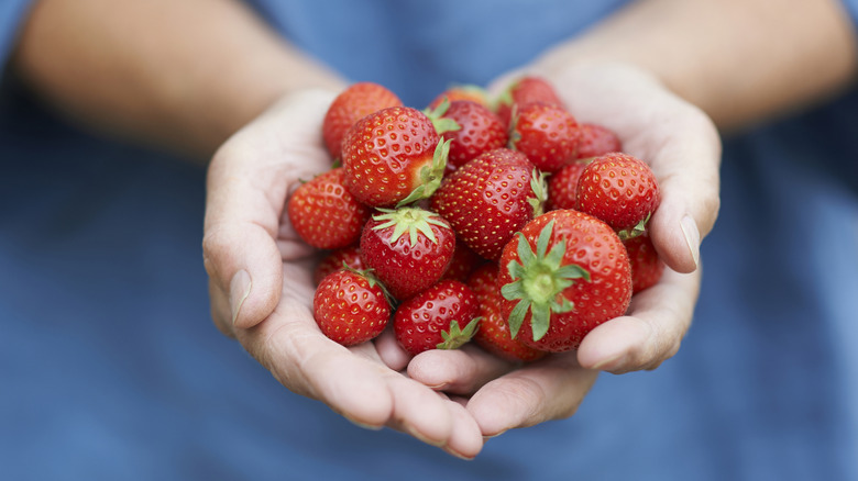 person's hands full of strawberries