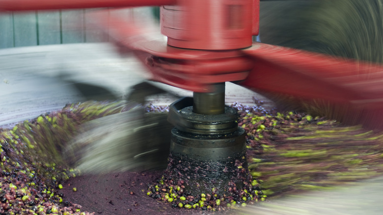 Olive oil milling