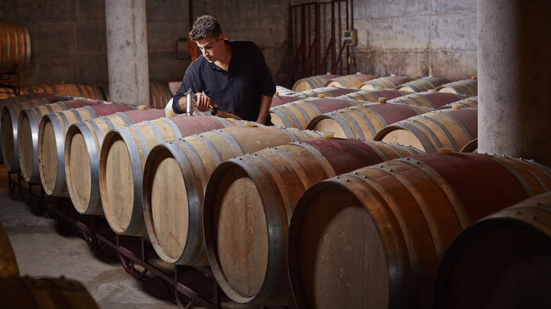 Wine barrels in cellar