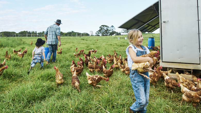 pasture-raised chicken farmer and coop