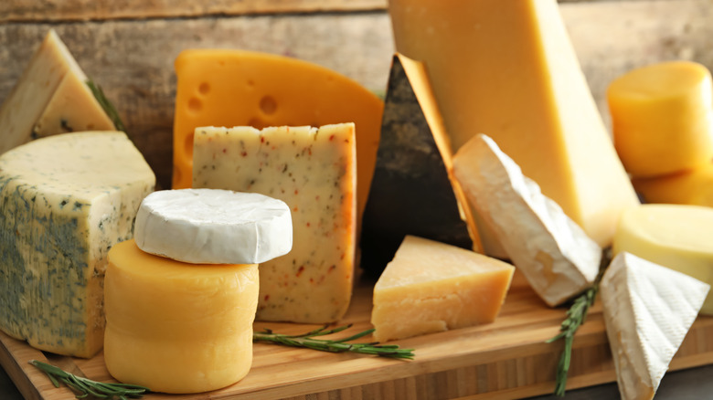 Various kinds of cheese