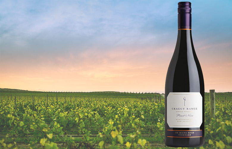 Craggy Range Te Muna Road Vineyard Pinot Noir 2015 ($42.99)