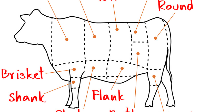 Graphic of side of beef with cuts 