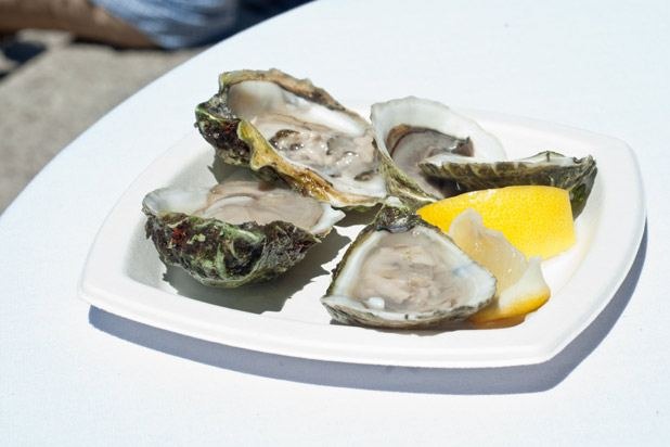 Freshly Shucked Oysters