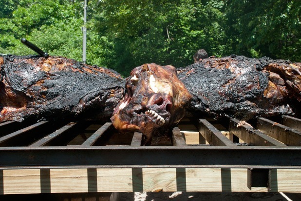 Pat LaFrieda's 876-Pound Steer