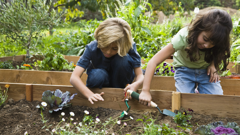 Children working in a community garden