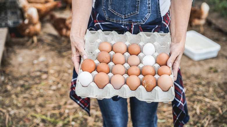 Person carrying farm fresh eggs