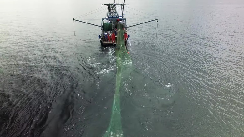 Fishing boat in Gulf of Maine