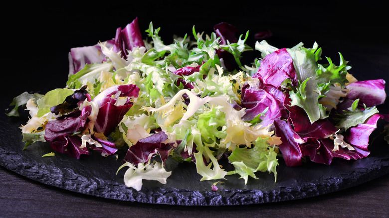 plate of radicchio endives frisée