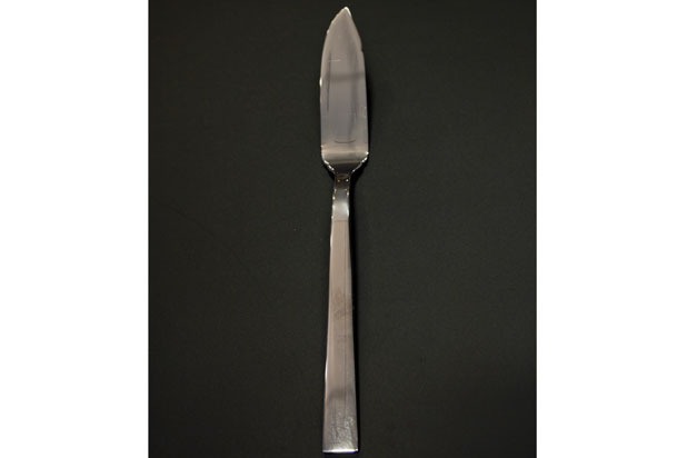 Fish Knife