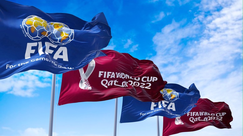 FIFA world cup 2022 flags