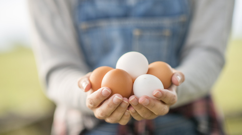 Female farmer holding eggs