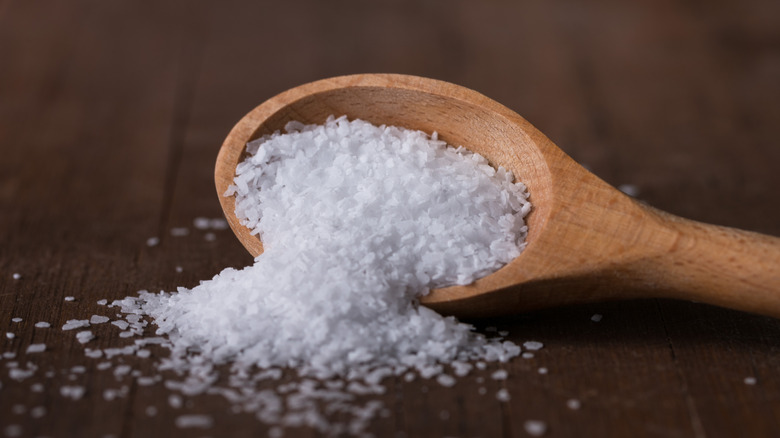 salt on wooden spoon