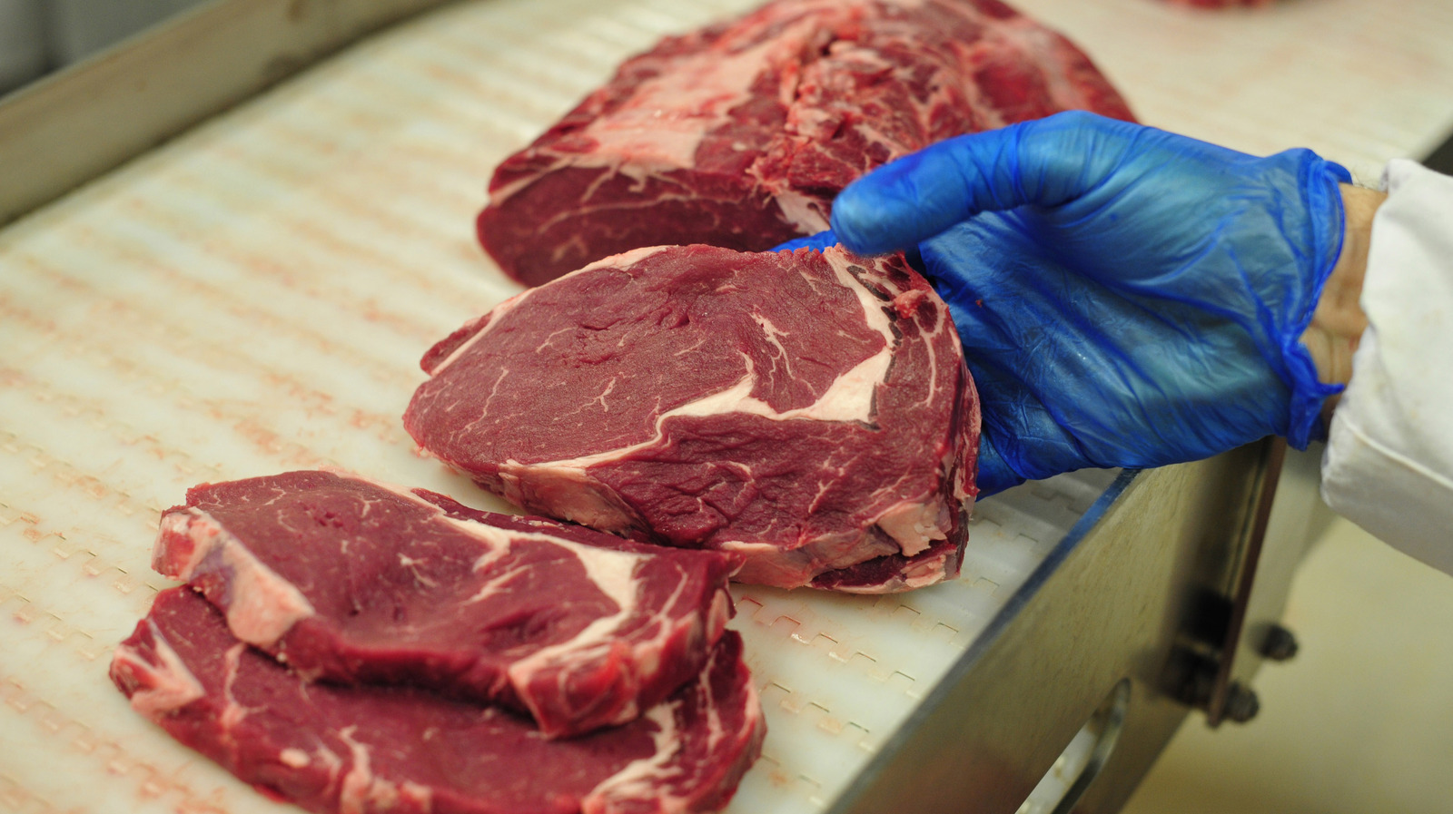 What You Should Consider Before Buying Select Grade Beef