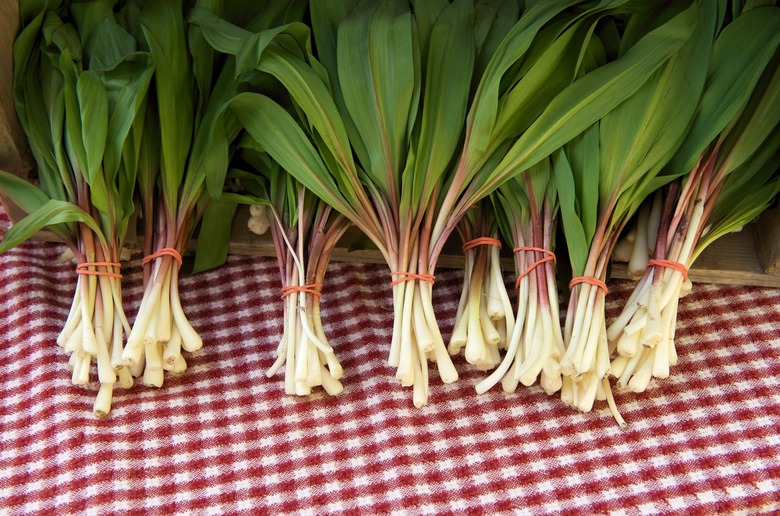 Ramps