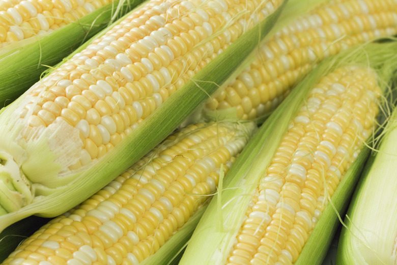 Corn