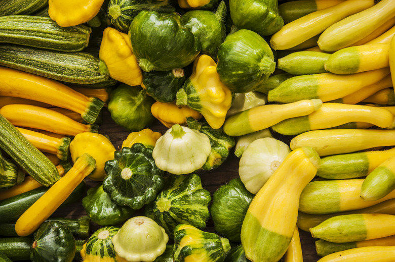 Summer squash