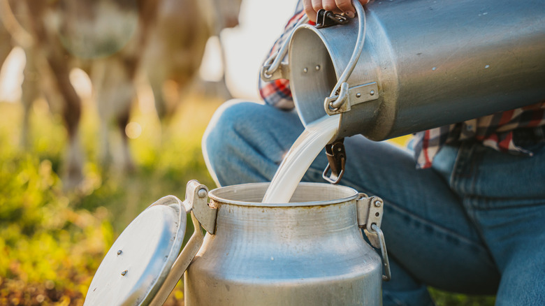 raw milk poured into jug