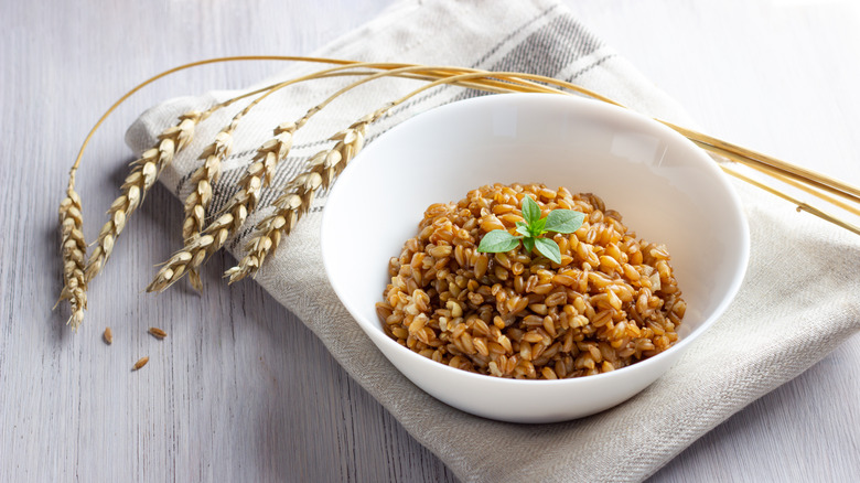 Farro in white bowl