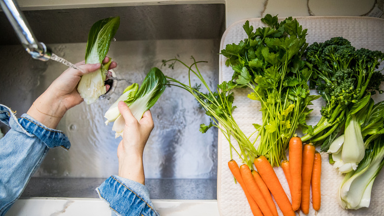 Person washing bok choy over sink