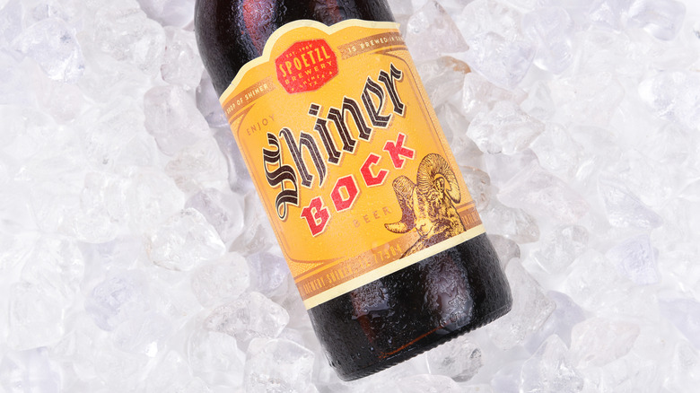 A brown bottle of Shiner Bock on ice