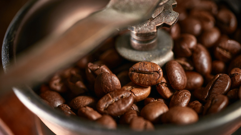 What's The Difference Between A Burr And A Blade Coffee Grinder?