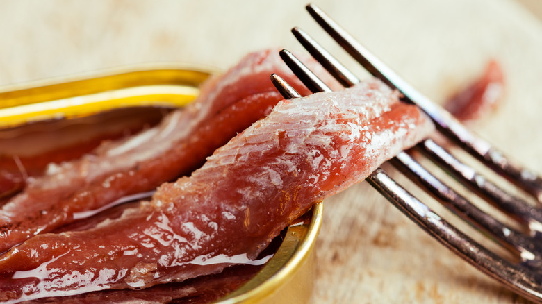 Brown anchovy on a fork