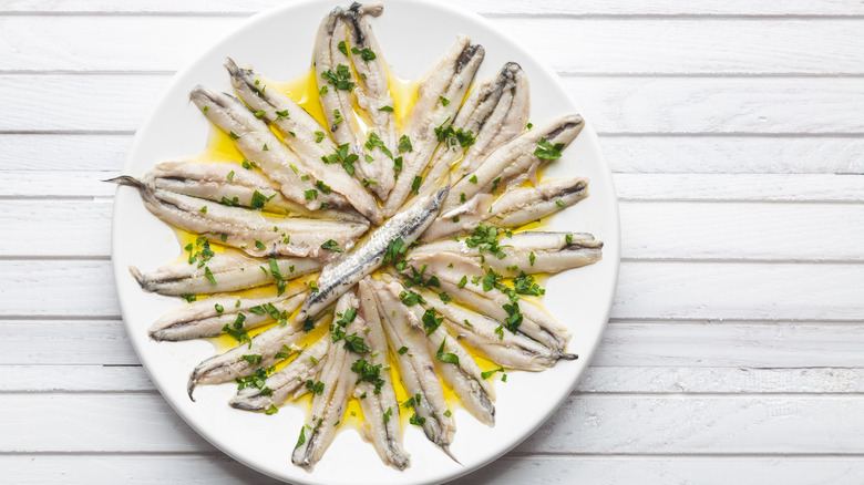 White anchovies in olive oil