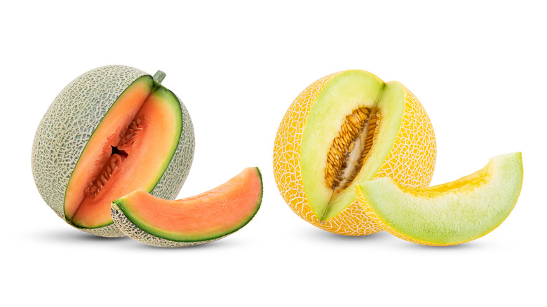 Whats The Difference Between Cantaloupe And Muskmelon