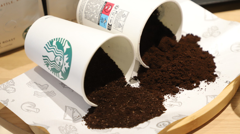 poured out cups of coffee grounds