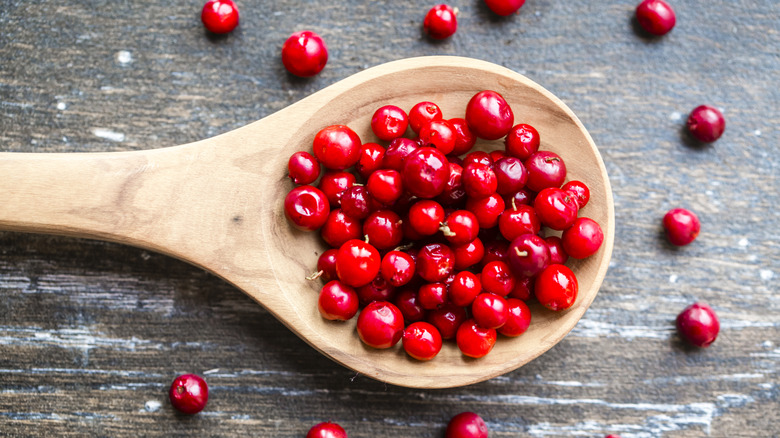 Wooden spoon full of lingonberries