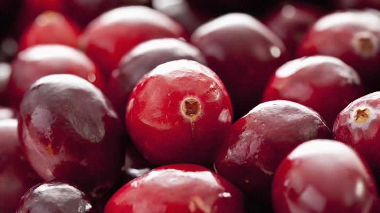 several cranberries close up