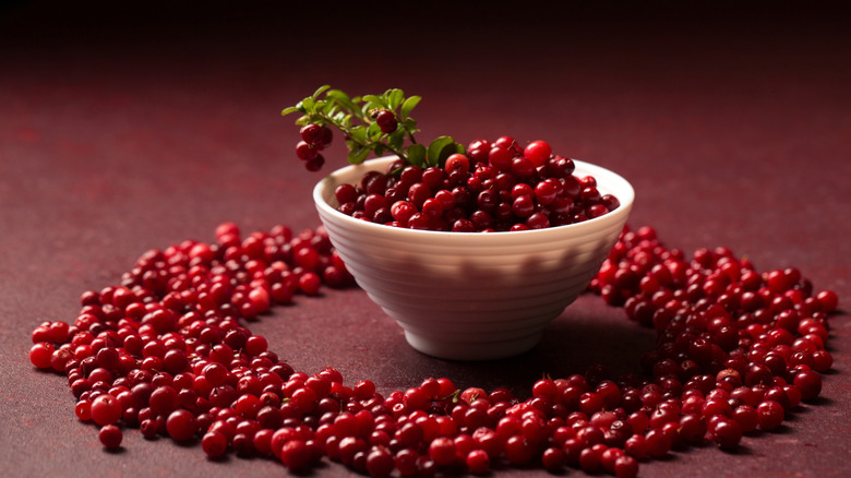 Small white bowl of fresh lingonberries