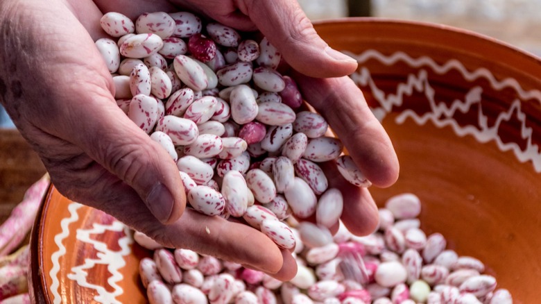 Hands holding red and white speckled beans