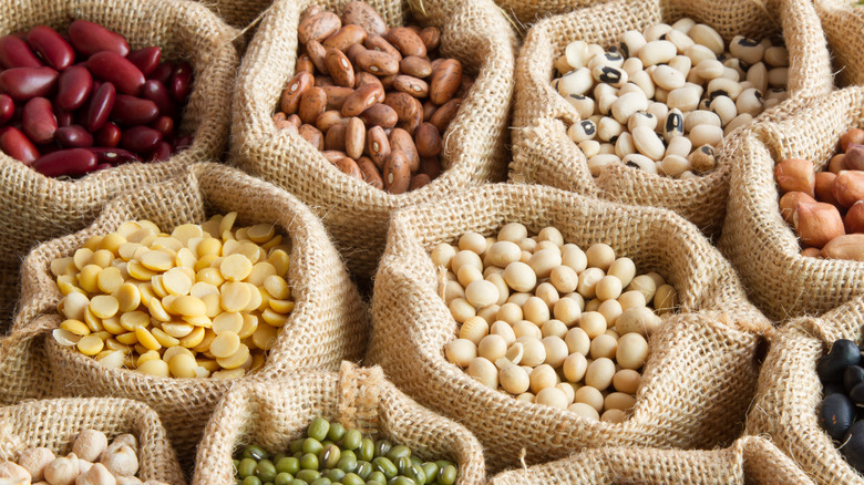 Various dried beans in burlap bags