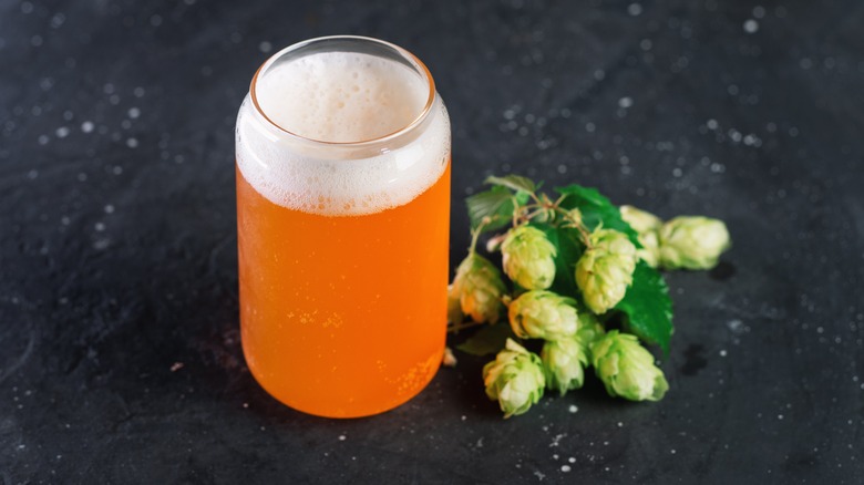 IPA in glass next to raw hops