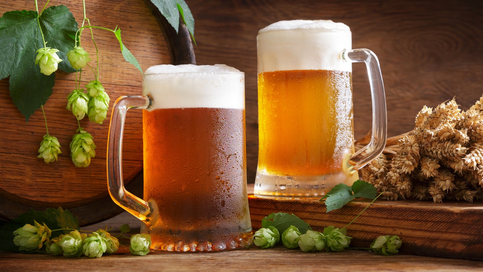 What s The Difference Between IPA And Lager 