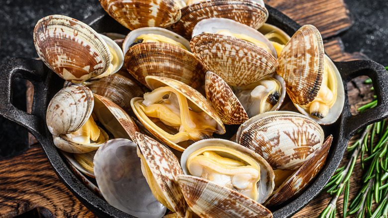 Cooked clams in a pan