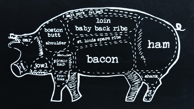 Pork cuts butcher diagram